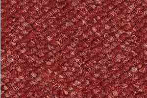 Ковролин Radici Office Fuoco 2407 фото  | FLOORDEALER